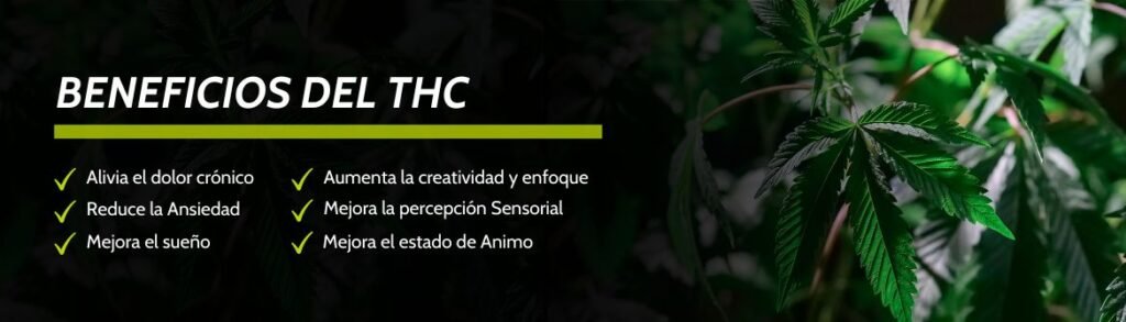 Beneficios del THC